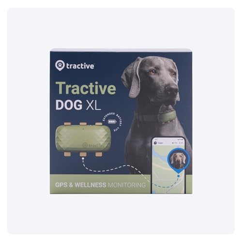 XL GPS Dog Tracker, Up To 1 Month Battery, Market leader, Worldwide real-time location tracking, Escape Alerts, Monitor Activity & Get Health Alerts