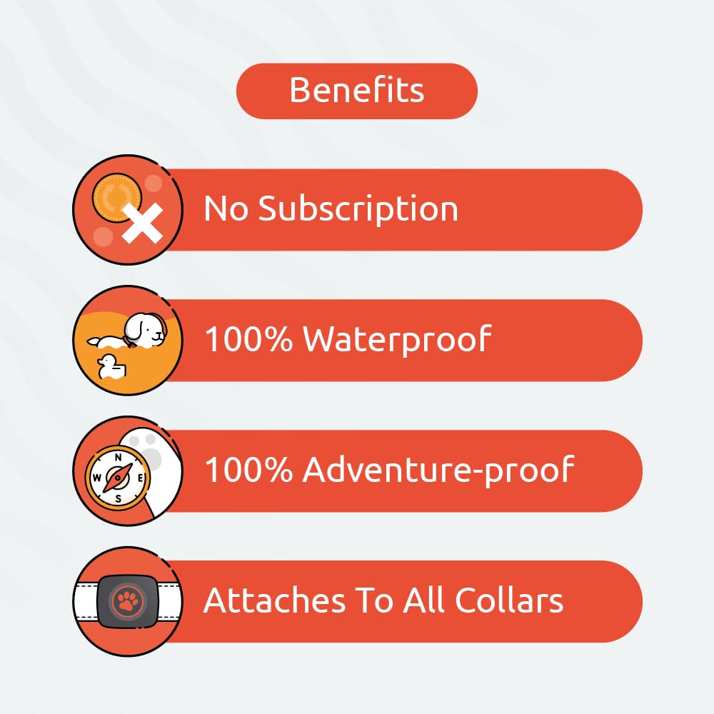 PitPat Dog Fitness Tracker – No GPS, No Charging, Waterproof