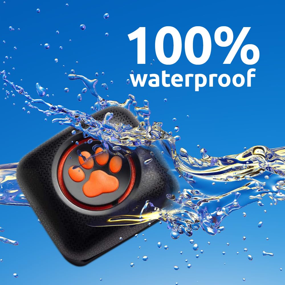 PitPat Dog Fitness Tracker – No GPS, No Charging, Waterproof