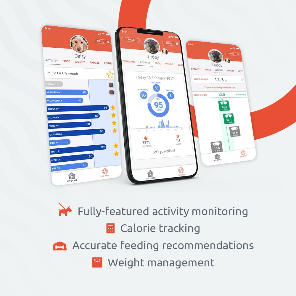 PitPat Dog Fitness Tracker – No GPS, No Charging, Waterproof