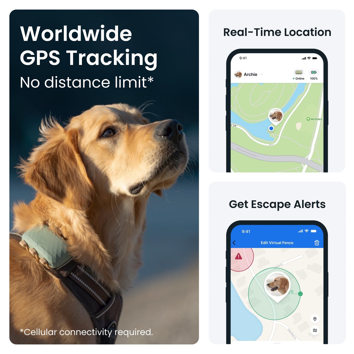 XL GPS Dog Tracker, Up To 1 Month Battery, Market leader, Worldwide real-time location tracking, Escape Alerts, Monitor Activity & Get Health Alerts