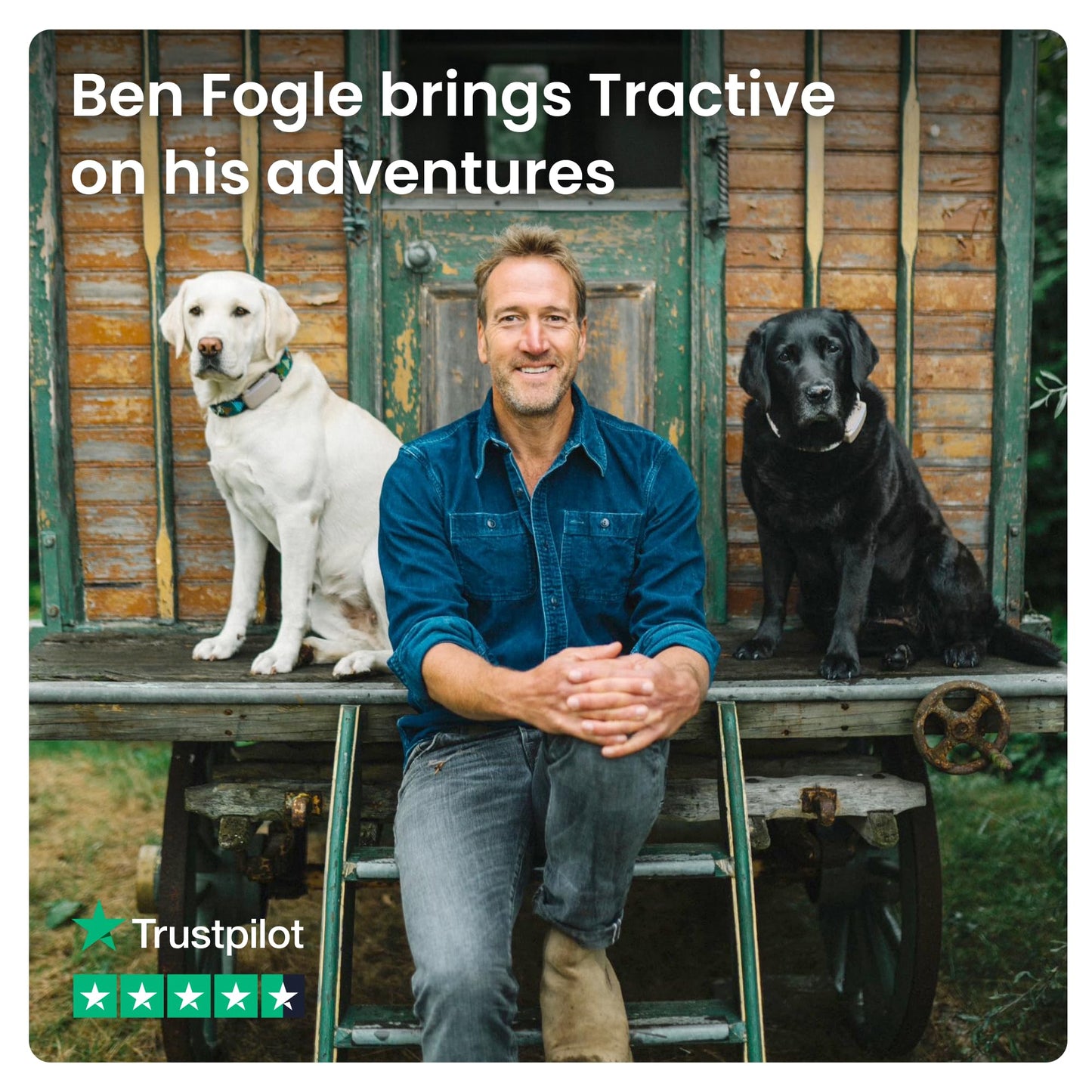 Tractive GPS Dog Tracker – Real-Time Location, Health Alerts