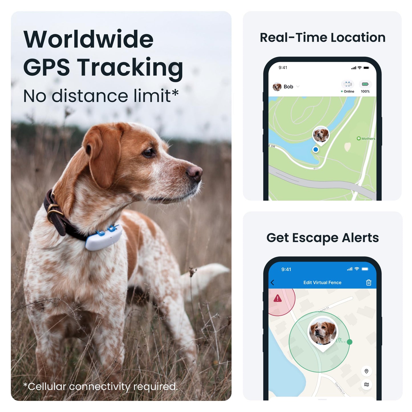 Tractive GPS Dog Tracker – Real-Time Location, Health Alerts