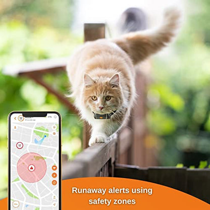 Weenect Cat XS – Mini Real-Time GPS Tracker with Collar