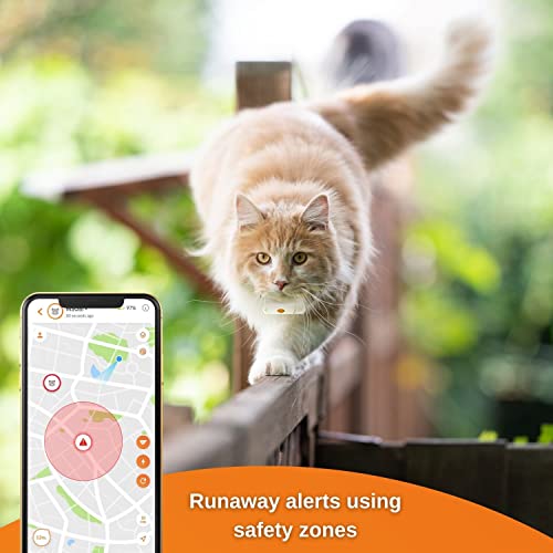Weenect Cat XS – Mini GPS Tracker with Collar (Subscription Required)