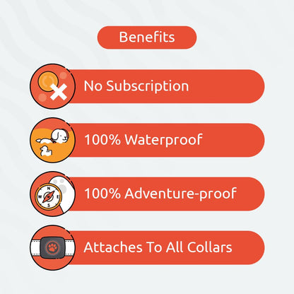 PitPat Dog Fitness Tracker – No GPS, No Charging, Waterproof