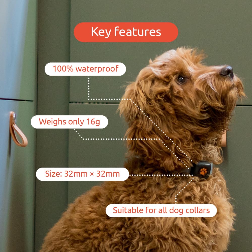 PitPat Dog Fitness Tracker – No GPS, No Charging, Waterproof