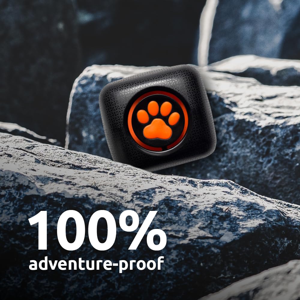 PitPat Dog Fitness Tracker – No GPS, No Charging, Waterproof