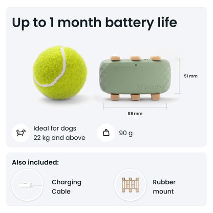 XL GPS Dog Tracker, Up To 1 Month Battery, Market leader, Worldwide real-time location tracking, Escape Alerts, Monitor Activity & Get Health Alerts