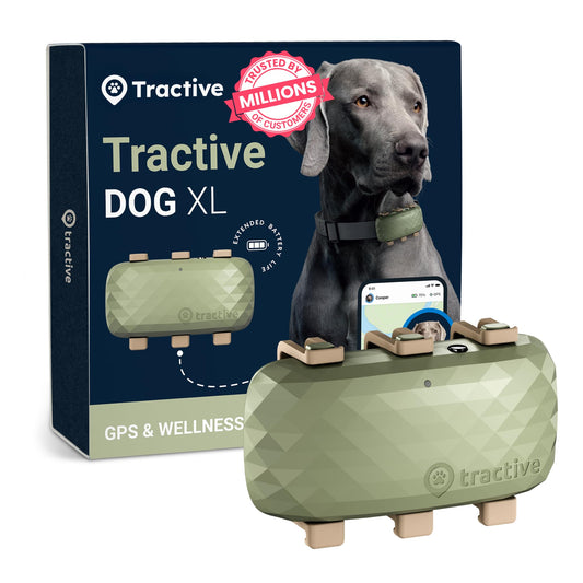 XL GPS Dog Tracker, Up To 1 Month Battery, Market leader, Worldwide real-time location tracking, Escape Alerts, Monitor Activity & Get Health Alerts