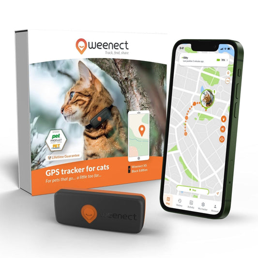 Weenect Cat XS – Mini Real-Time GPS Tracker with Collar