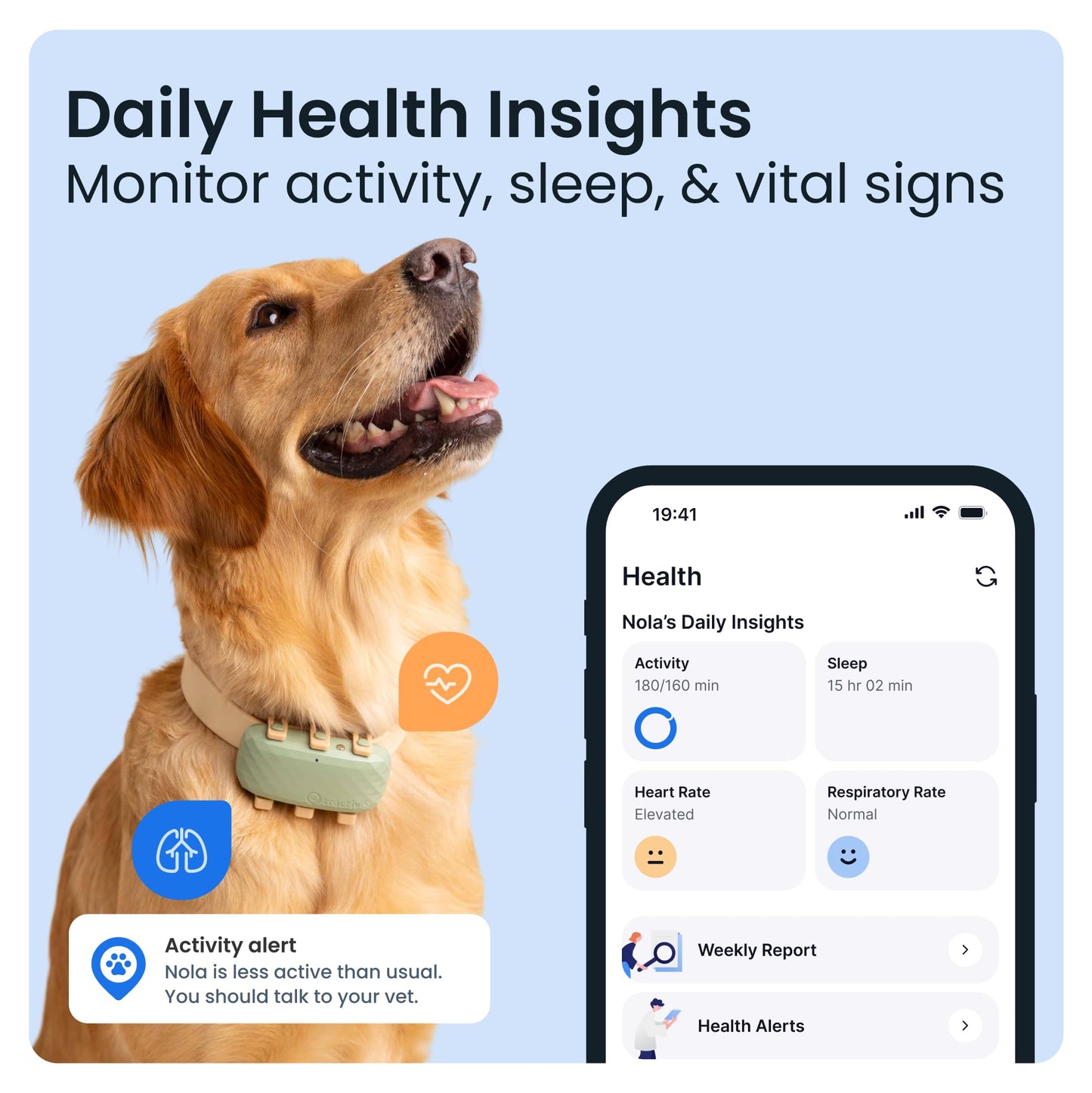 XL GPS Dog Tracker, Up To 1 Month Battery, Market leader, Worldwide real-time location tracking, Escape Alerts, Monitor Activity & Get Health Alerts