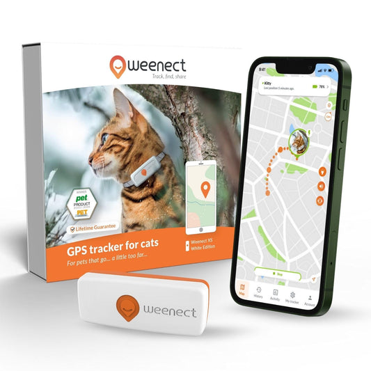 Weenect Cat XS – Mini GPS Tracker with Collar (Subscription Required)