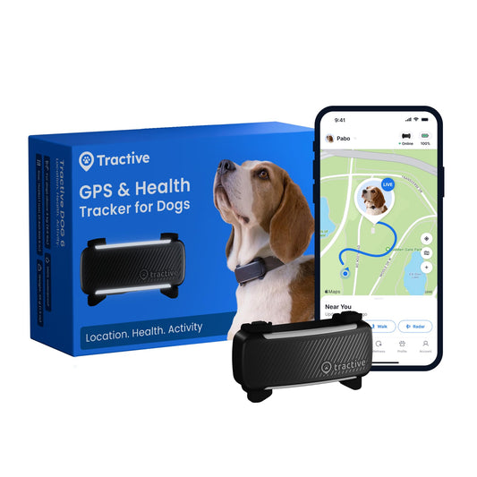Tractive Smart Dog GPS Tracker 2025 – Black