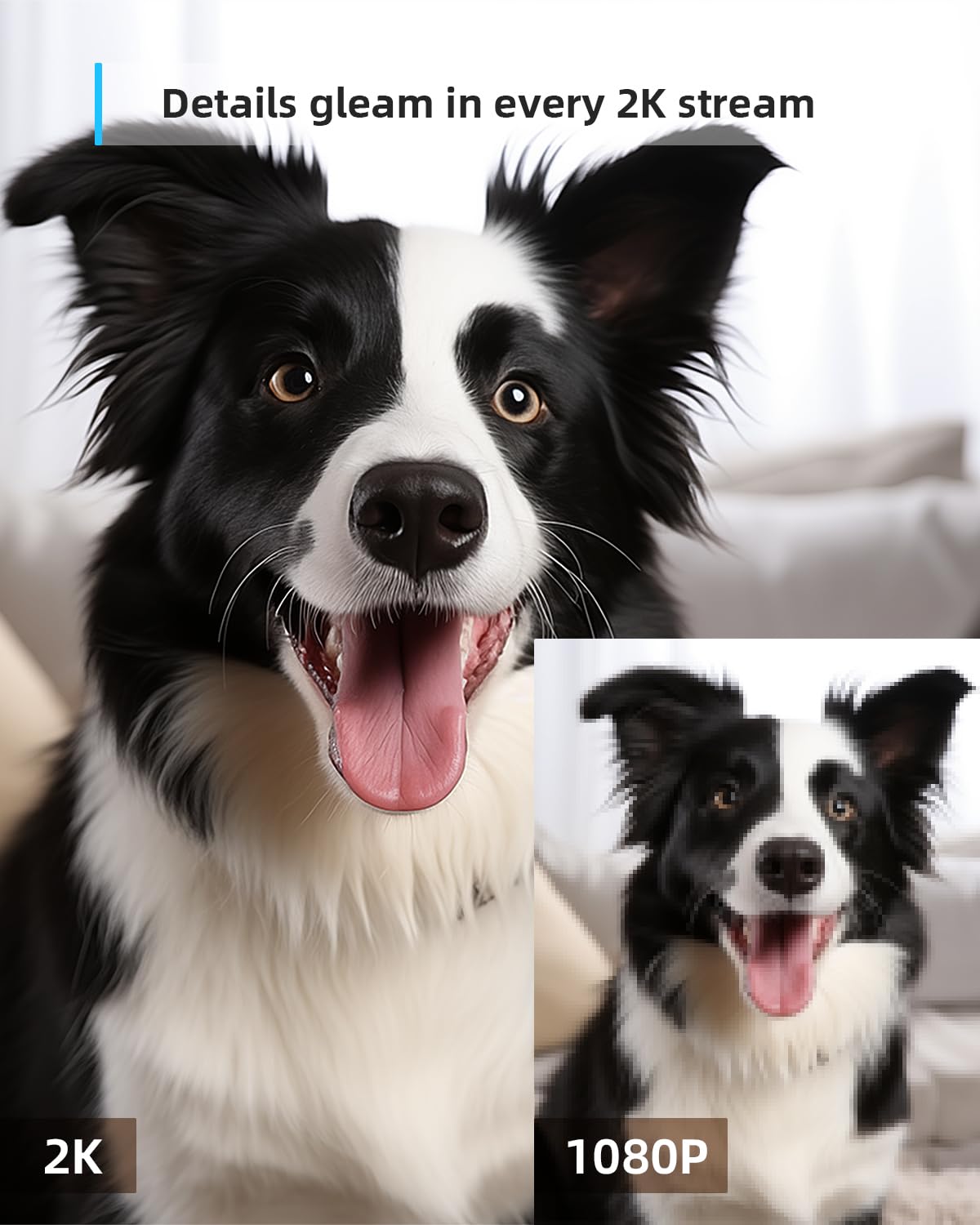 Pet Camera 2K, Indoor Camera, Dog Camera, 360° Home Security Camera, Night Vision, Motion Tracking, 2-Way Talk, Cloud&SD, APP Control, Works with Alexa