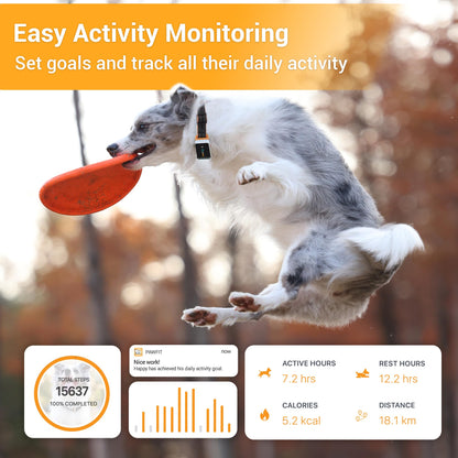 Pawfit 3 GPS Dog Tracker – 4G, Waterproof, Smart Alerts