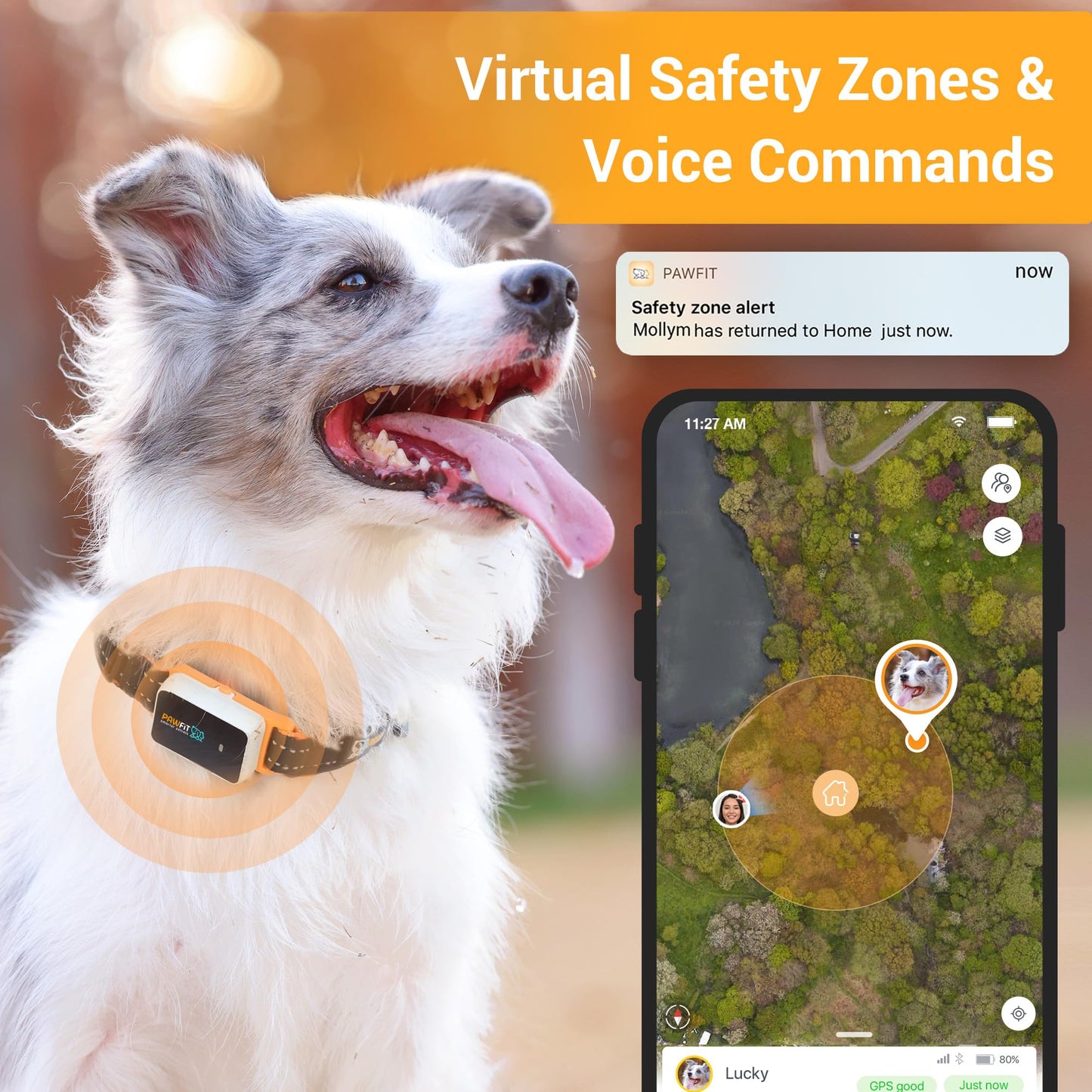 Pawfit 3 GPS Dog Tracker – 4G, Waterproof, Smart Alerts