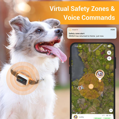 Pawfit 3 GPS Dog Tracker – 4G, Waterproof, Smart Alerts