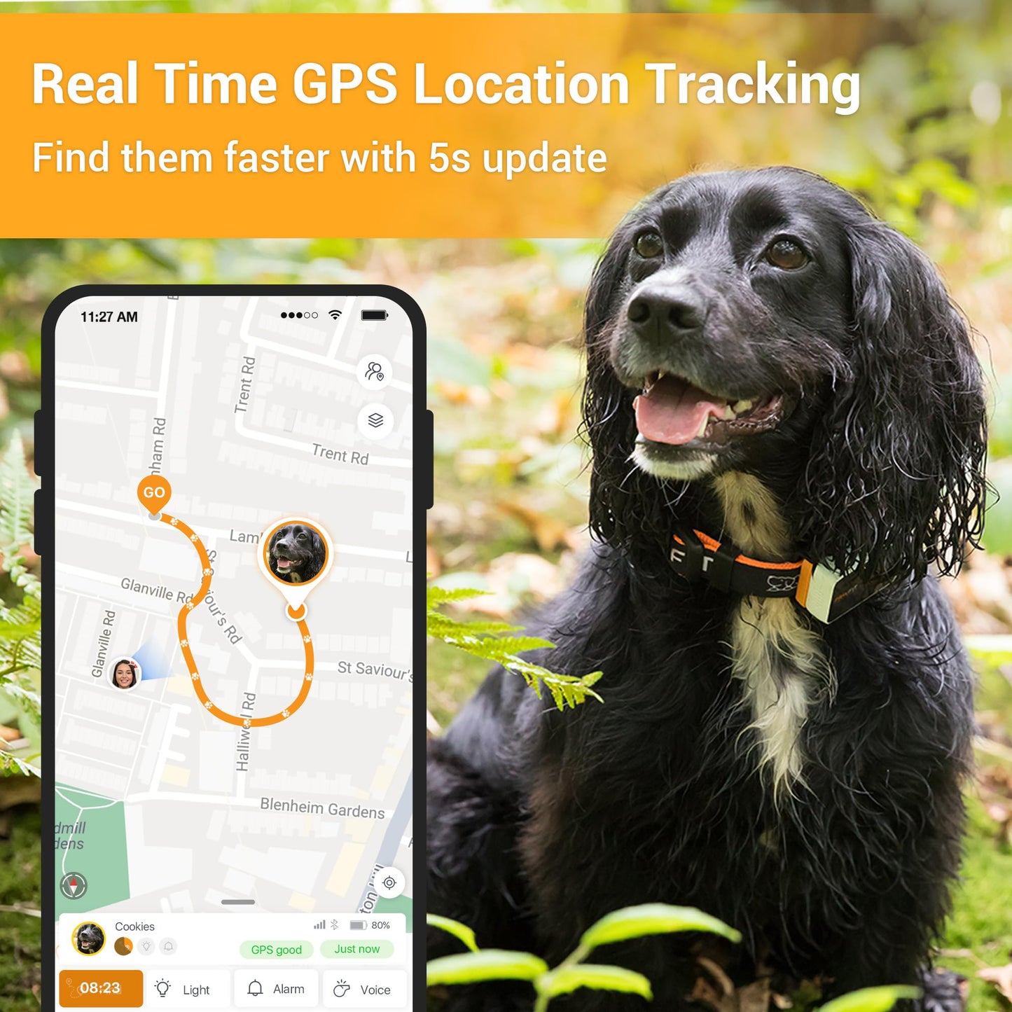 Pawfit 3 GPS Dog Tracker – 4G, Waterproof, Smart Alerts