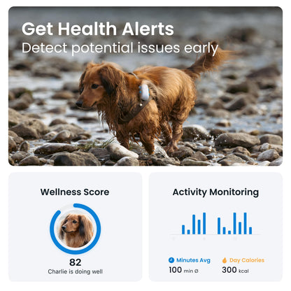 Tractive GPS Dog Tracker – Real-Time Location, Health Alerts